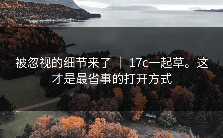 被忽视的细节来了 ｜ 17c一起草。这才是最省事的打开方式  第1张