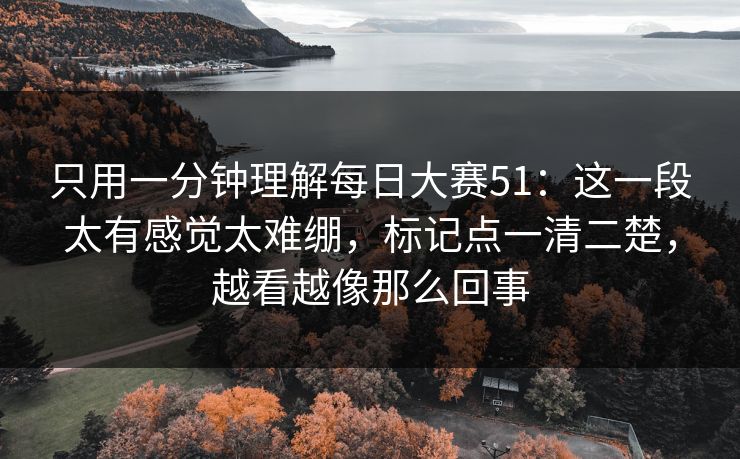 只用一分钟理解每日大赛51：这一段太有感觉太难绷，标记点一清二楚，越看越像那么回事  第1张